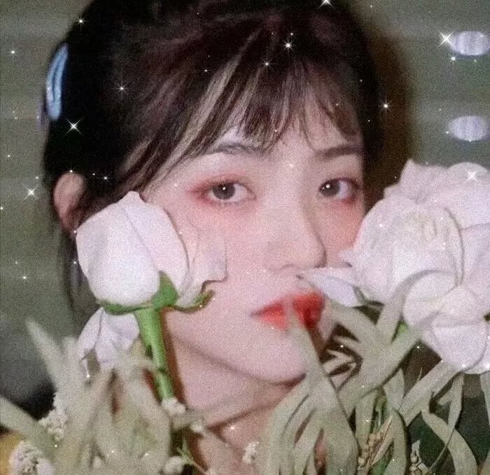 复合与出走